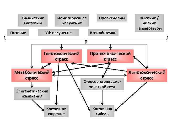 Ситуационная реакция на стресс карта вызова