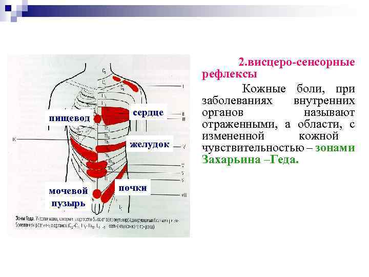 Эли теста