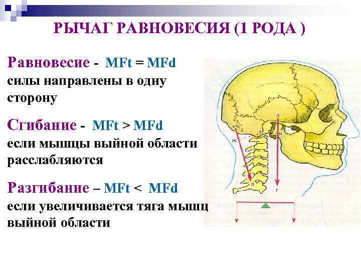 РЫЧАГ РАВНОВЕСИЯ (1 РОДА ) Равновесие - MFt = MFd силы направлены в одну