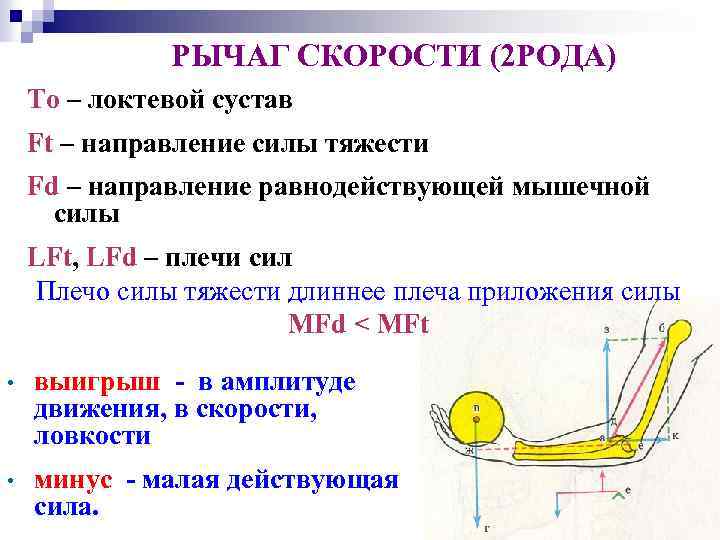 Система 2 скорости