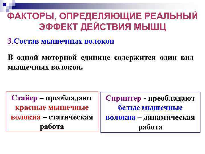 ФАКТОРЫ, ОПРЕДЕЛЯЮЩИЕ РЕАЛЬНЫЙ ЭФФЕКТ ДЕЙСТВИЯ МЫШЦ 3. Состав мышечных волокон В одной моторной единице