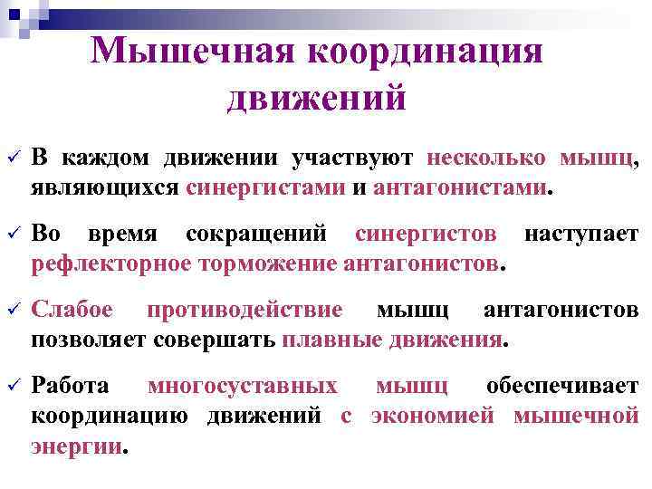 Мышечная координация движений ü В каждом движении участвуют несколько мышц, являющихся синергистами и антагонистами.