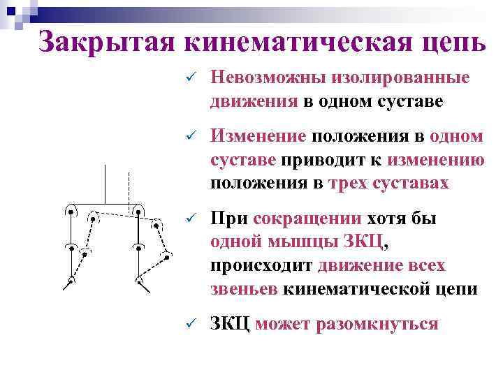 Закрытая кинематическая цепь ü Невозможны изолированные движения в одном суставе ü Изменение положения в