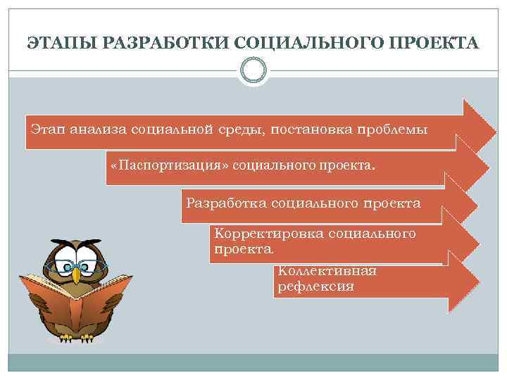 Разработанный социально творческий проект программу утверждает