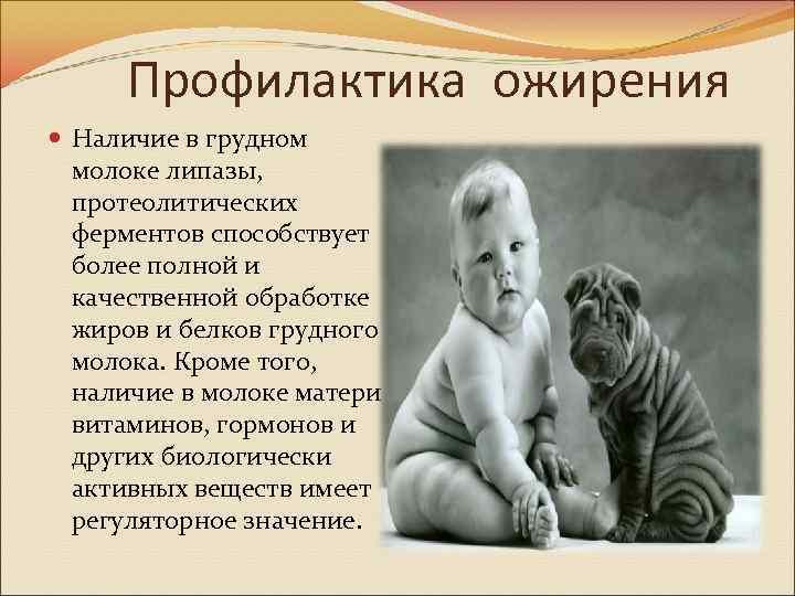 Профилактика ожирения Наличие в грудном молоке липазы, протеолитических ферментов способствует более полной и качественной
