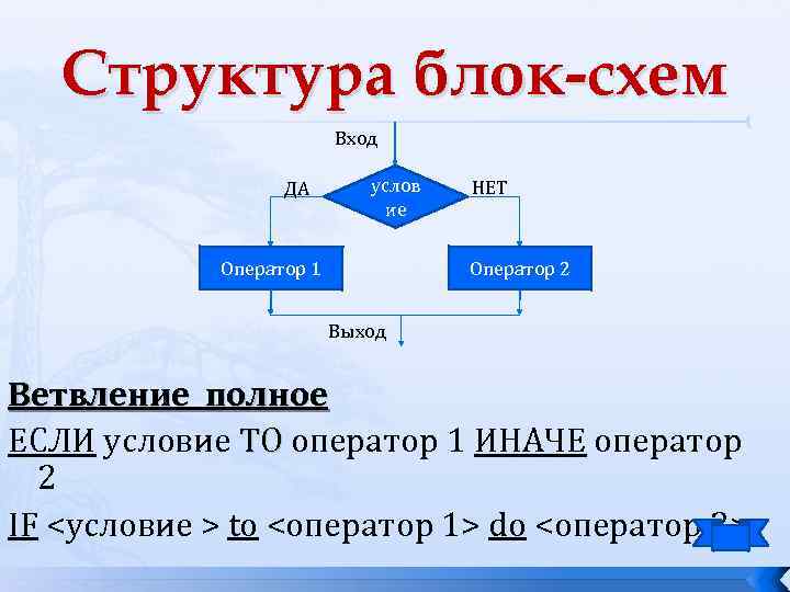 Оператор выбора блок схема