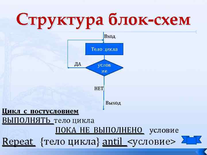 Структура блок-схем Вход Тело цикла ДА услов ие НЕТ Выход Цикл с постусловием ВЫПОЛНЯТЬ