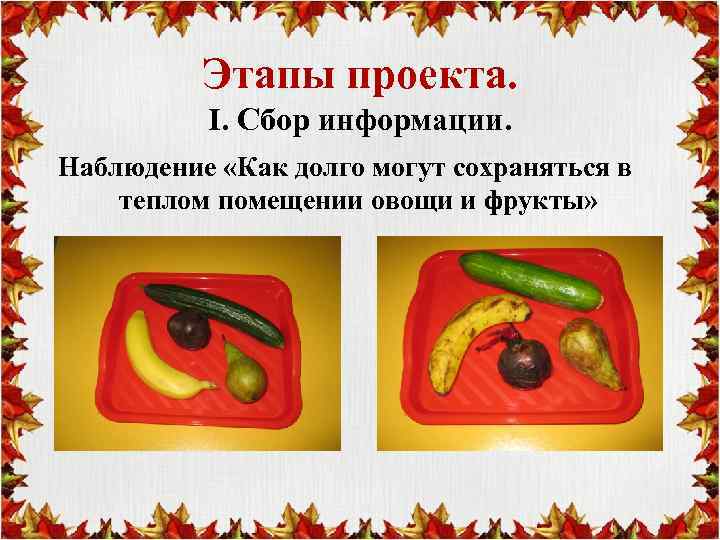 Этапы проекта. I. Сбор информации. Наблюдение «Как долго могут сохраняться в теплом помещении овощи