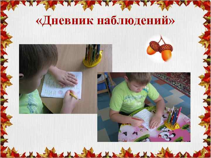  «Дневник наблюдений» 