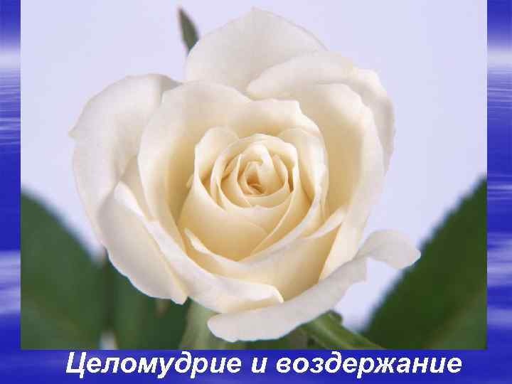 Целомудрие и воздержание 