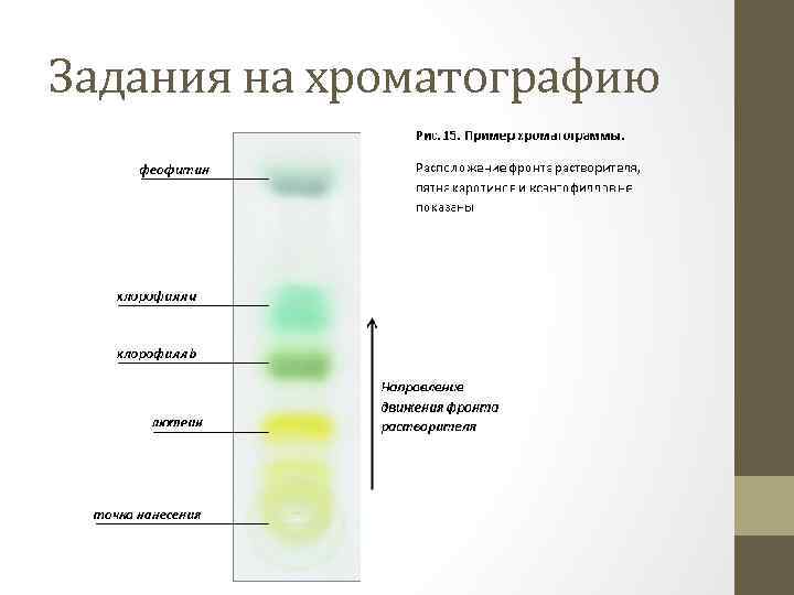 Тсх огурцы фото