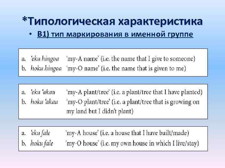 *Типологическая характеристика • В 1) тип маркирования в именной группе 