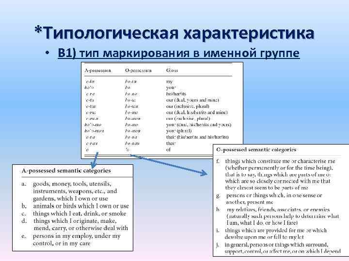 *Типологическая характеристика • В 1) тип маркирования в именной группе 