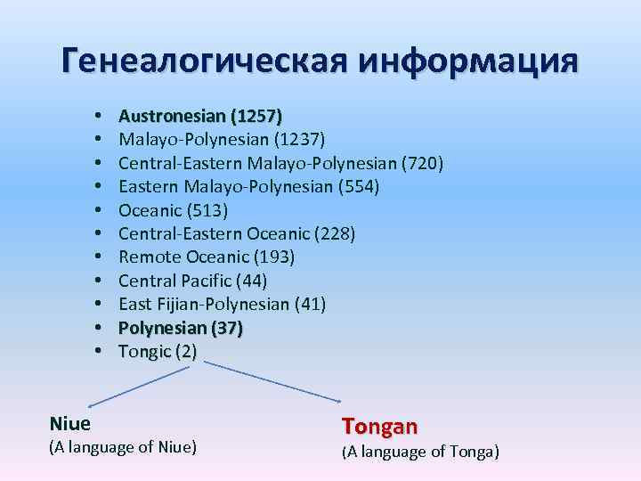 Генеалогическая информация • • • Niue Austronesian (1257) Malayo-Polynesian (1237) Central-Eastern Malayo-Polynesian (720) Eastern