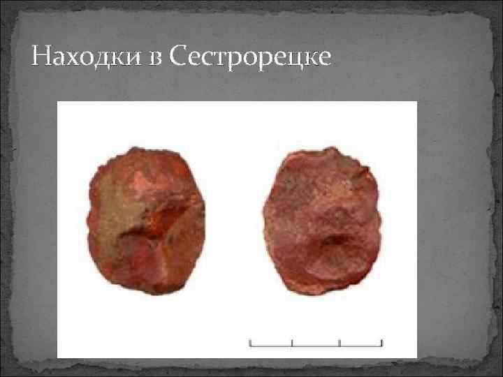 Находки в Сестрорецке 