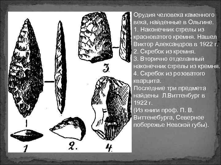Орудия человека каменного века, найденные в Ольгине. 1. Наконечник стрелы из красноватого кремня. Нашел