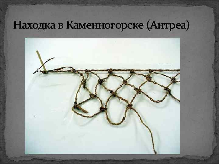 Находка в Каменногорске (Антреа) 