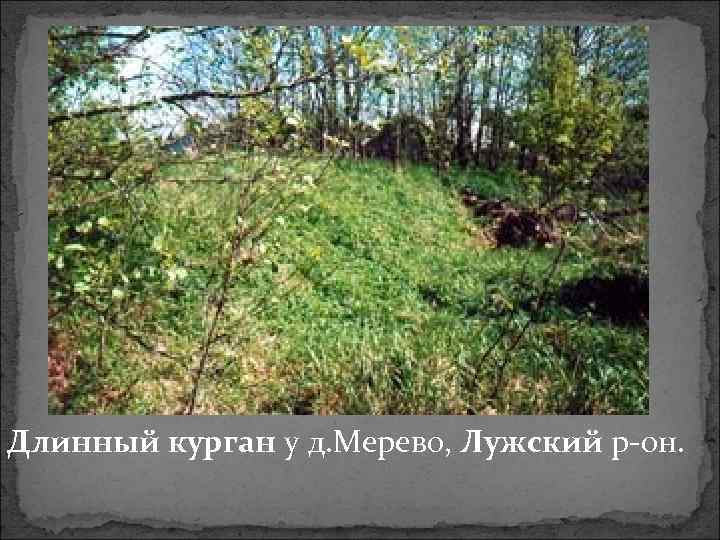 Длинный курган у д. Мерево, Лужский р-он. 