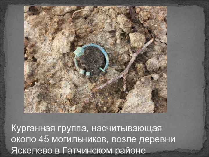 Курганная группа, насчитывающая около 45 могильников, возле деревни Яскелево в Гатчинском районе 