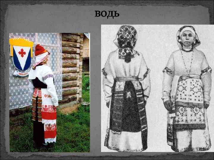 водь 