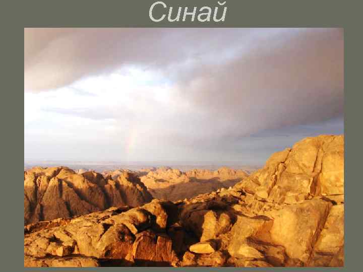 Синай 