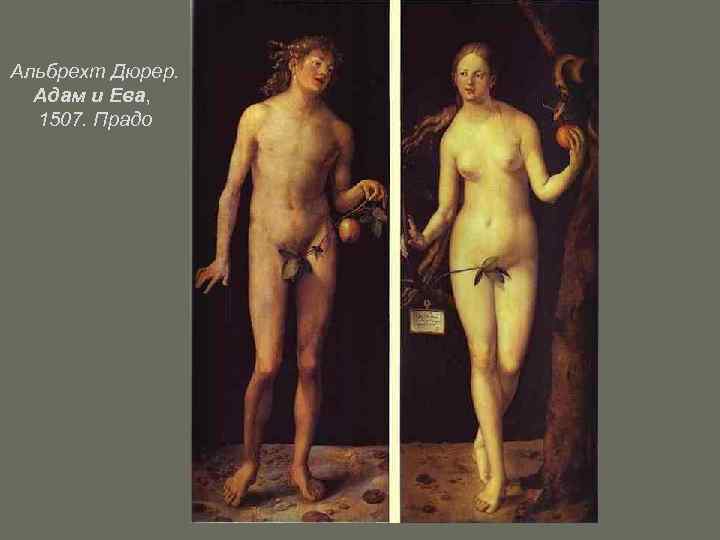  Альбрехт Дюрер. Адам и Ева, 1507. Прадо 