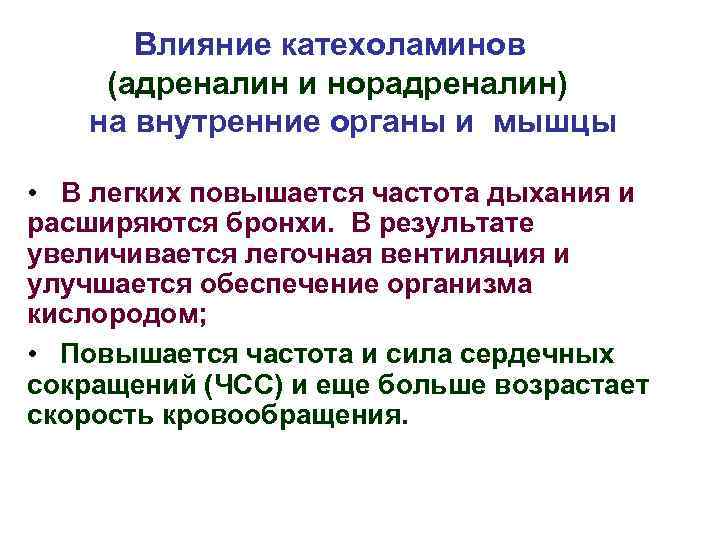 Влияние катехоламинов (адреналин и норадреналин) на внутренние органы и мышцы • В легких повышается