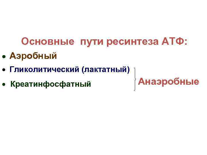 Основные пути ресинтеза АТФ: Аэробный Гликолитический (лактатный) Креатинфосфатный Анаэробные 