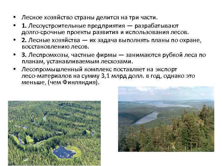  • Лесное хозяйство страны делится на три части. • 1. Лесоустроительные предприятия —