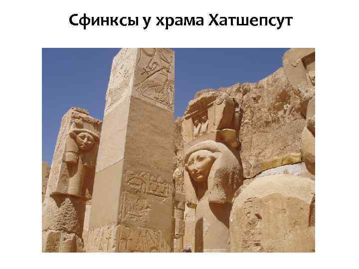 Сфинксы у храма Хатшепсут 