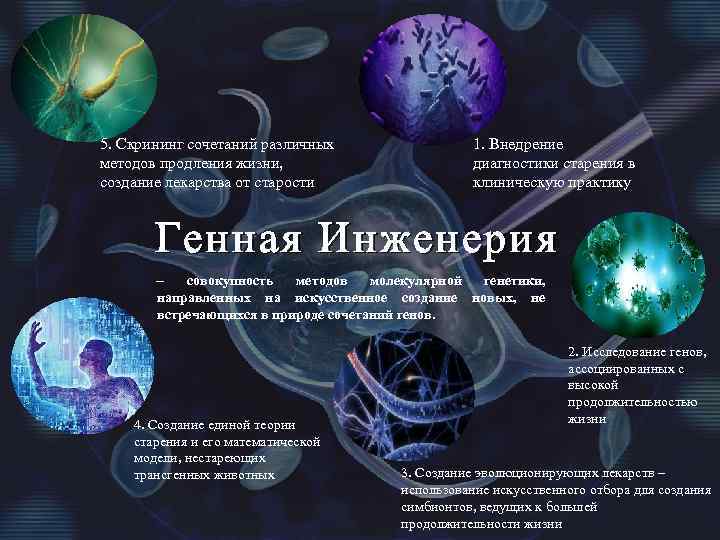 Презентация биотехнология и генная инженерия 11 класс