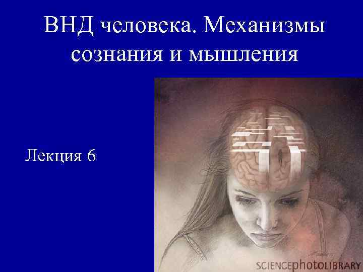 ВНД человека. Механизмы сознания и мышления Лекция 6 