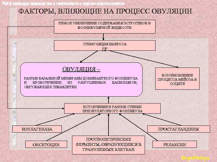 РУДН, кафедра акушерства и гинекологии с курсом перинатологии ФАКТОРЫ, ВЛИЯЮЩИЕ НА ПРОЦЕСС ОВУЛЯЦИИ РЕЗКОЕ