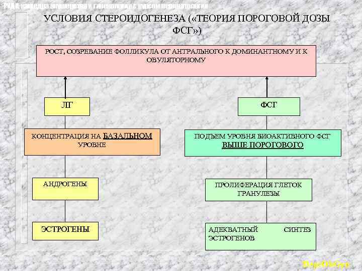 РУДН, кафедра акушерства и гинекологии с курсом перинатологии УСЛОВИЯ СТЕРОИДОГЕНЕЗА ( «ТЕОРИЯ ПОРОГОВОЙ ДОЗЫ