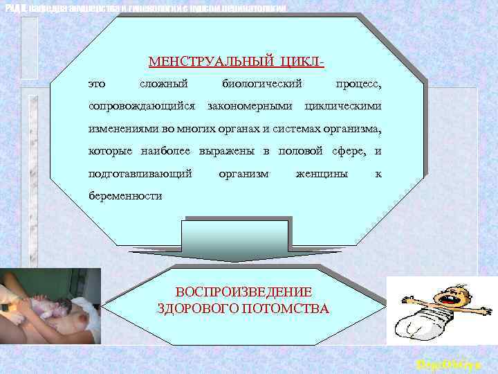 РУДН, кафедра акушерства и гинекологии с курсом перинатологии МЕНСТРУАЛЬНЫЙ ЦИКЛэто сложный сопровождающийся биологический закономерными