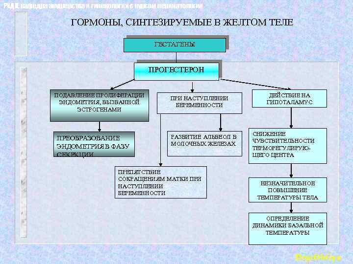 РУДН, кафедра акушерства и гинекологии с курсом перинатологии ГОРМОНЫ, СИНТЕЗИРУЕМЫЕ В ЖЕЛТОМ ТЕЛЕ ГЕСТАГЕНЫ