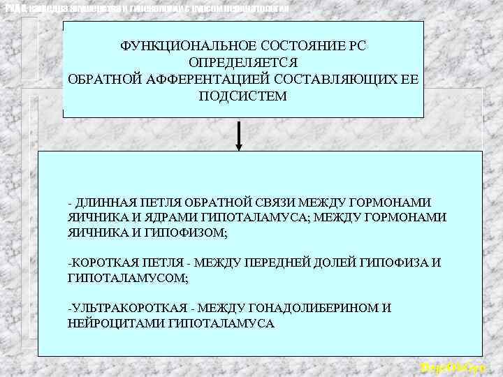 РУДН, кафедра акушерства и гинекологии с курсом перинатологии ФУНКЦИОНАЛЬНОЕ СОСТОЯНИЕ РС ОПРЕДЕЛЯЕТСЯ ОБРАТНОЙ АФФЕРЕНТАЦИЕЙ