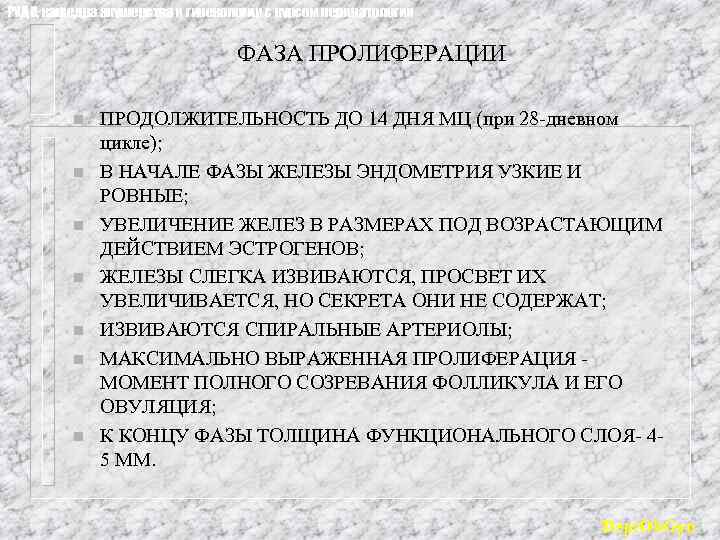 РУДН, кафедра акушерства и гинекологии с курсом перинатологии ФАЗА ПРОЛИФЕРАЦИИ n n n n