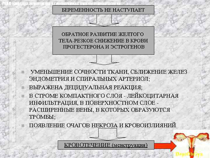 РУДН, кафедра акушерства и гинекологии с курсом перинатологии БЕРЕМЕННОСТЬ НЕ НАСТУПАЕТ ОБРАТНОЕ РАЗВИТИЕ ЖЕЛТОГО