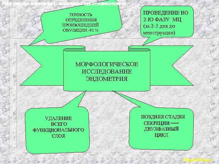 РУДН, кафедра акушерства и гинекологии с курсом перинатологии ТОЧНОСТЬ ОПРЕДЕЛЕНИЯ ПРОИЗОШЕДШЕЙ ОВУЛЯЦИИ -92 %