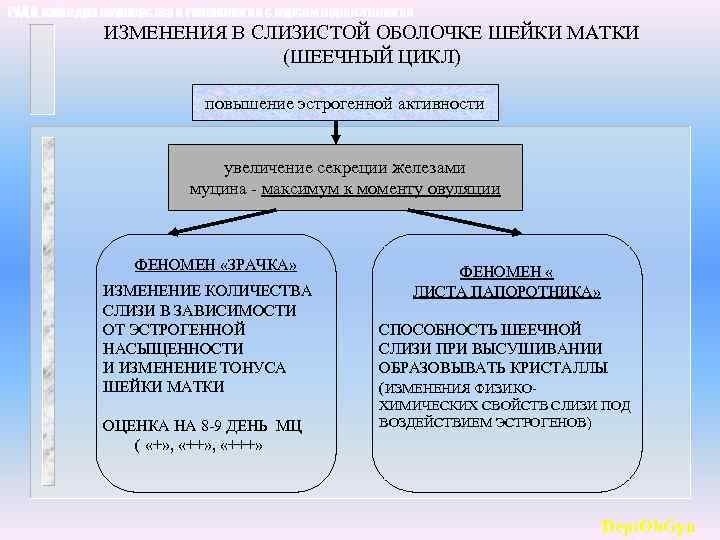 РУДН, кафедра акушерства и гинекологии с курсом перинатологии ИЗМЕНЕНИЯ В СЛИЗИСТОЙ ОБОЛОЧКЕ ШЕЙКИ МАТКИ