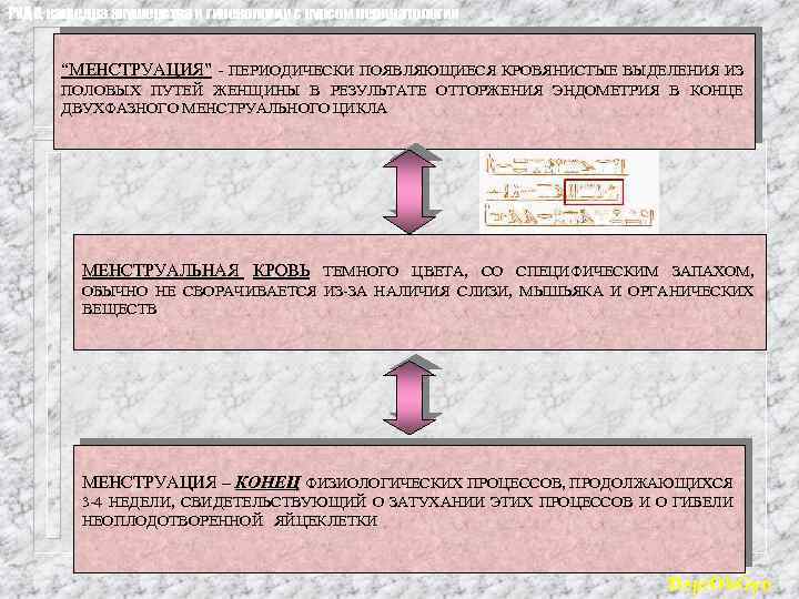 РУДН, кафедра акушерства и гинекологии с курсом перинатологии “МЕНСТРУАЦИЯ” - ПЕРИОДИЧЕСКИ ПОЯВЛЯЮЩИЕСЯ КРОВЯНИСТЫЕ ВЫДЕЛЕНИЯ