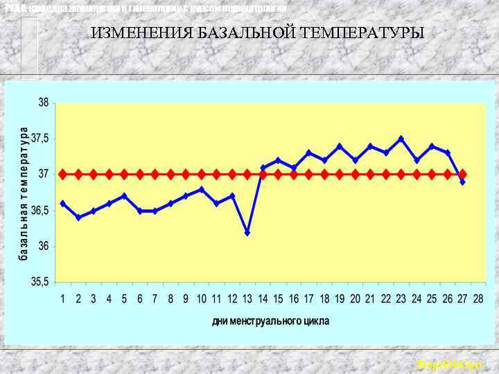 РУДН, кафедра акушерства и гинекологии с курсом перинатологии ИЗМЕНЕНИЯ БАЗАЛЬНОЙ ТЕМПЕРАТУРЫ Dept. Ob. Gyn