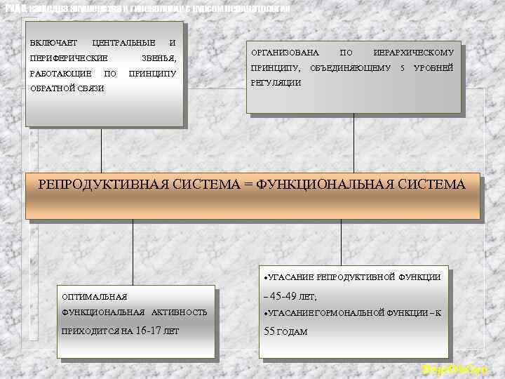 РУДН, кафедра акушерства и гинекологии с курсом перинатологии ВКЛЮЧАЕТ ЦЕНТРАЛЬНЫЕ ПЕРИФЕРИЧЕСКИЕ РАБОТАЮЩИЕ ПО И