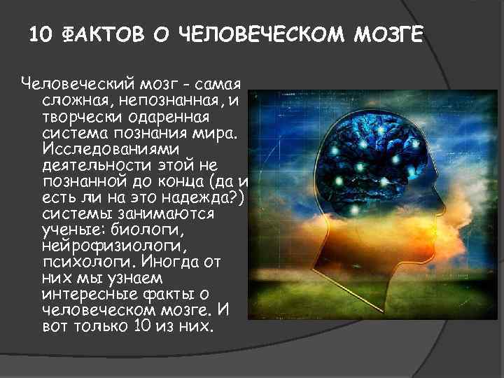 10 ФАКТОВ О ЧЕЛОВЕЧЕСКОМ МОЗГЕ Человеческий мозг - самая сложная, непознанная, и творчески одаренная