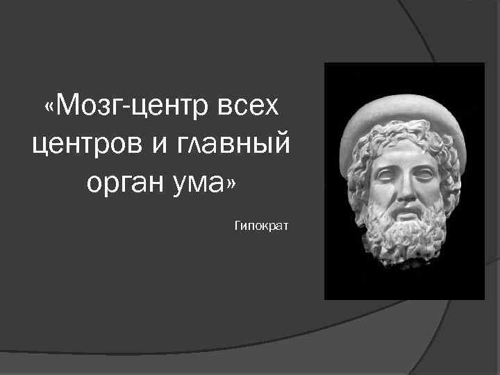  «Мозг-центр всех центров и главный орган ума» Гипократ 