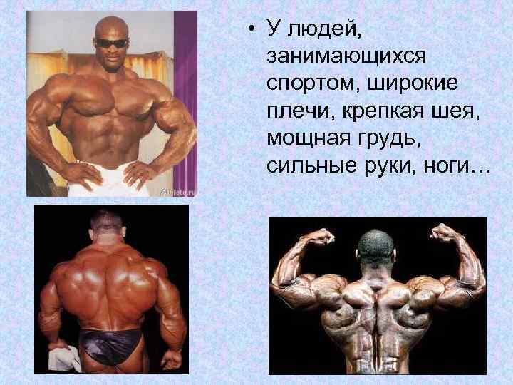  • У людей, занимающихся спортом, широкие плечи, крепкая шея, мощная грудь, сильные руки,