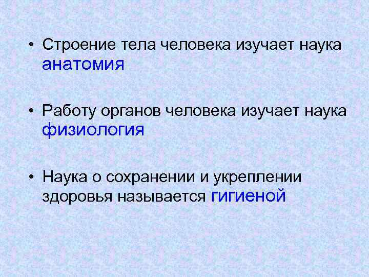  • Строение тела человека изучает наука анатомия • Работу органов человека изучает наука