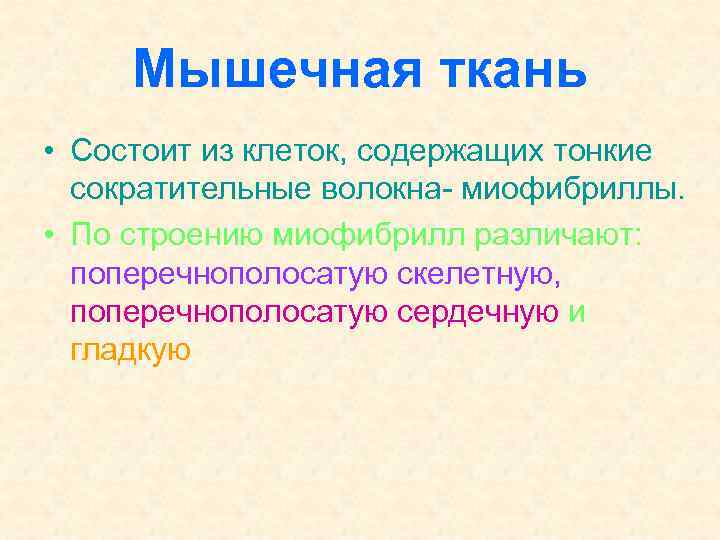 Мышечная ткань • Состоит из клеток, содержащих тонкие сократительные волокна- миофибриллы. • По строению