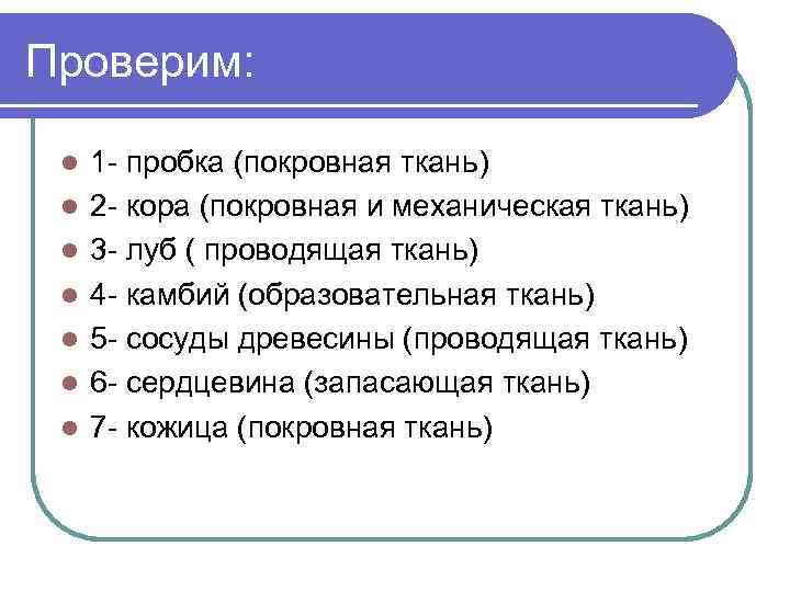 Проверим: l l l l 1 - пробка (покровная ткань) 2 - кора (покровная